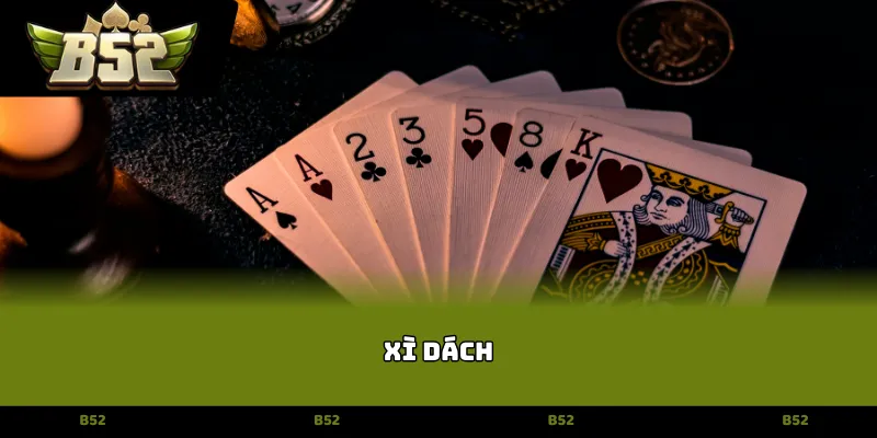 xì dách